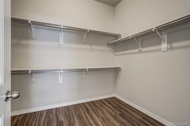 spacious closet with dark wood-style flooring