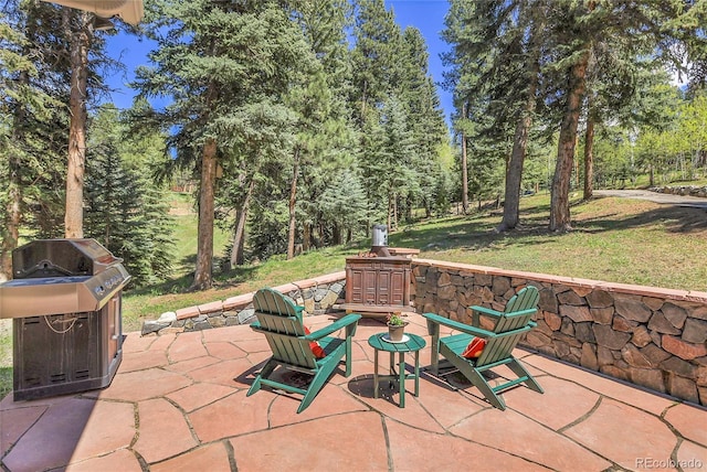 7753 Red Fox Dr, Evergreen, CO 80439 - view of patio / terrace featuring an outdoor fire pit