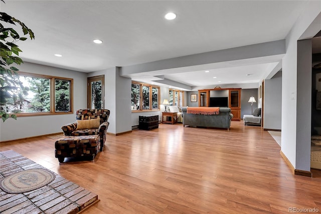 7753 Red Fox Dr, Evergreen, CO 80439 - living room featuring light wood-style floors, baseboards, and recessed lighting
