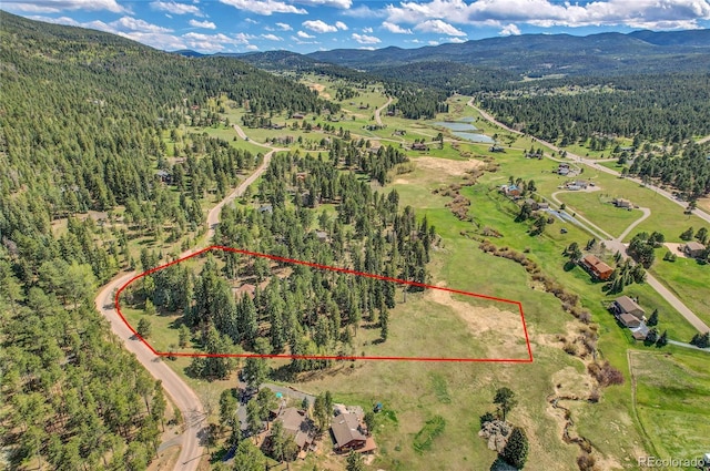 7753 Red Fox Dr, Evergreen, CO 80439 - aerial overview of property's location featuring a heavily wooded area, mountains, and property boundaries highlighted