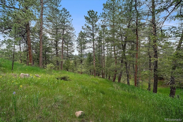 0 Camel Heights Cir, Evergreen, CO 80439