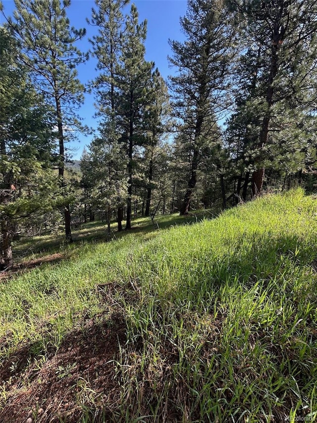 0 Camel Heights Cir, Evergreen, CO 80439