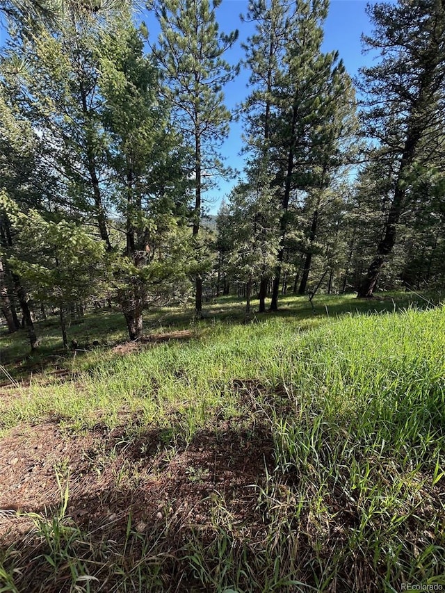 0 Camel Heights Cir, Evergreen, CO 80439