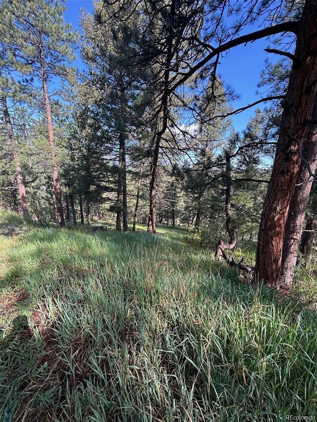 0 Camel Heights Cir, Evergreen, CO 80439