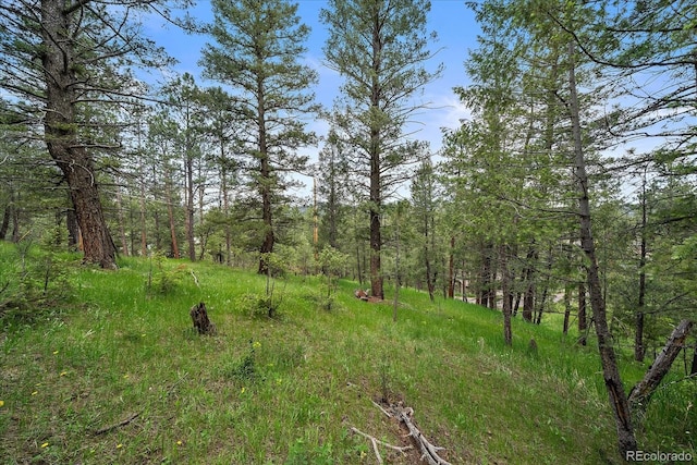 0 Camel Heights Cir, Evergreen, CO 80439