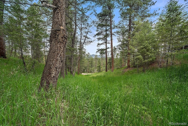 0 Camel Heights Cir, Evergreen, CO 80439