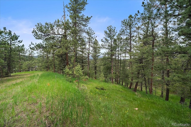 0 Camel Heights Cir, Evergreen, CO 80439