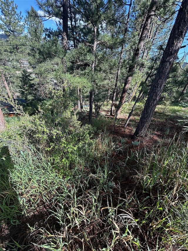 0 Camel Heights Cir, Evergreen, CO 80439