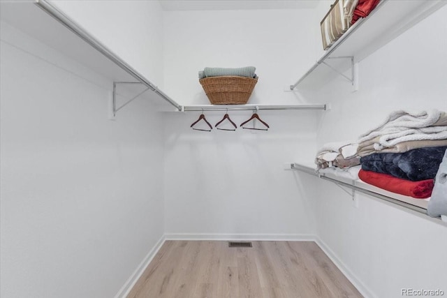 3862 E 127th Ln, Thornton, CO 80241 - walk in closet with light wood-style floors