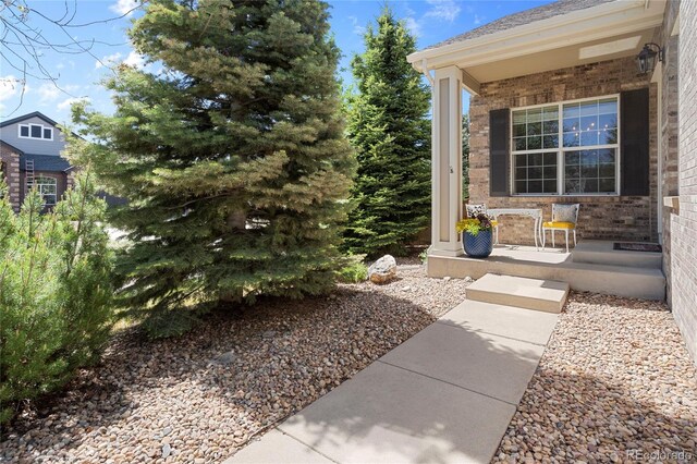 view of yard with covered porch
