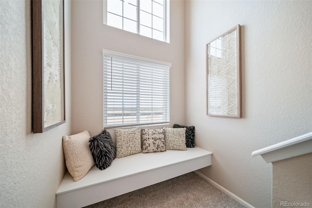 22362 E 39th Ave, Aurora, CO 80019 - photo 39