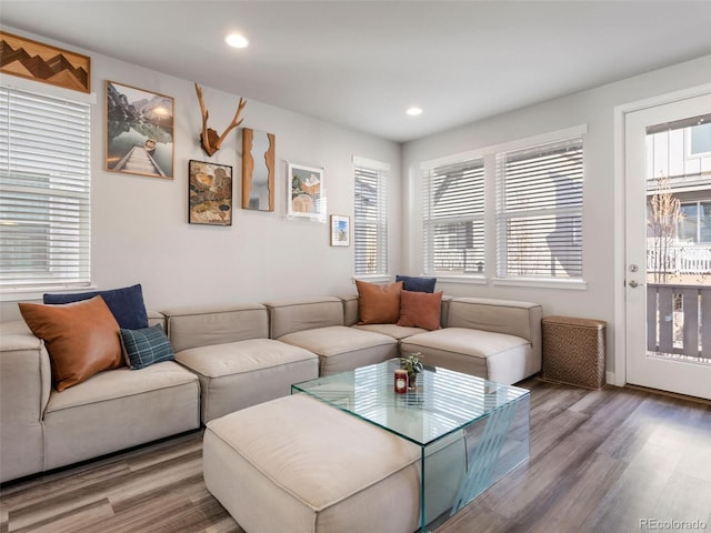 living room featuring hardwood / wood-style floors