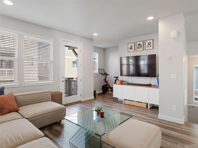 living room with hardwood / wood-style flooring