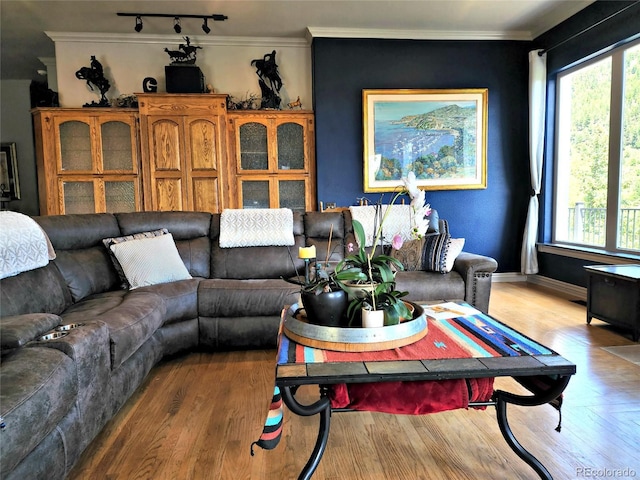 83 Wilderness Cornerstone Rd, Evergreen, CO 80439 - living room with wood finished floors, ornamental molding, and track lighting