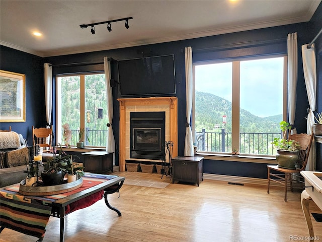 83 Wilderness Cornerstone Rd, Evergreen, CO 80439 - living area featuring healthy amount of natural light, ornamental molding, wood finished floors, and a large fireplace