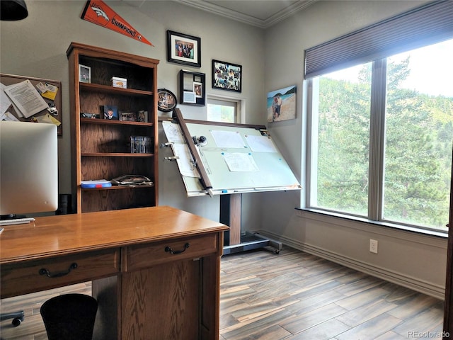 83 Wilderness Cornerstone Rd, Evergreen, CO 80439 - office space with crown molding and light wood finished floors