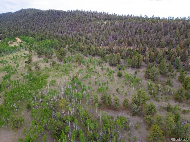 2396 Fitzsimmons Rd, Hartsel, CO 80449