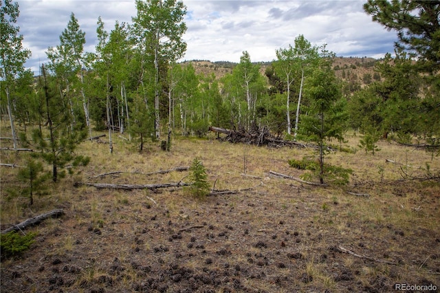 2396 Fitzsimmons Rd, Hartsel, CO 80449