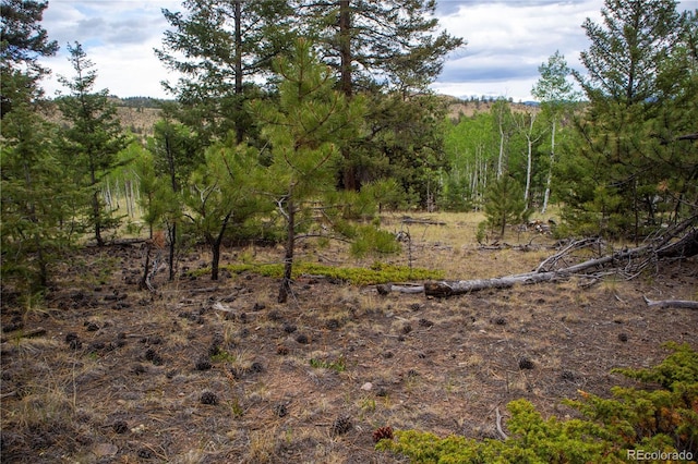 2396 Fitzsimmons Rd, Hartsel, CO 80449
