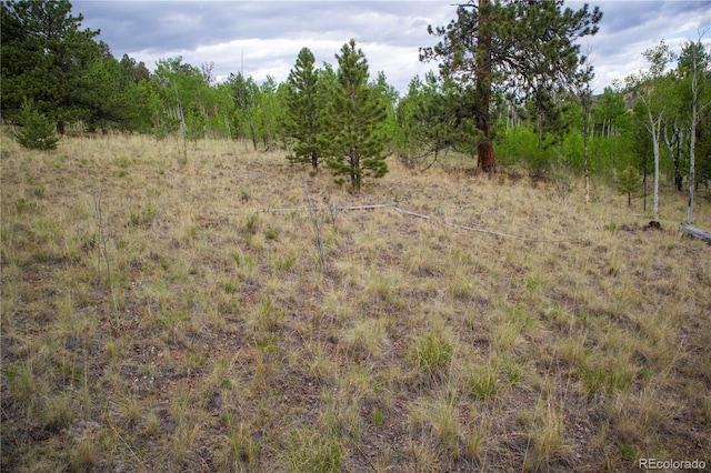 2396 Fitzsimmons Rd, Hartsel, CO 80449