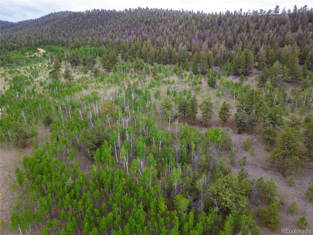 2396 Fitzsimmons Rd, Hartsel, CO 80449