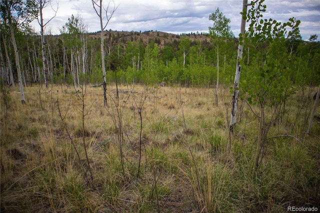 2396 Fitzsimmons Rd, Hartsel, CO 80449