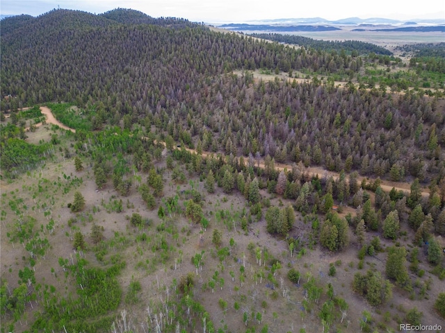 2396 Fitzsimmons Rd, Hartsel, CO 80449