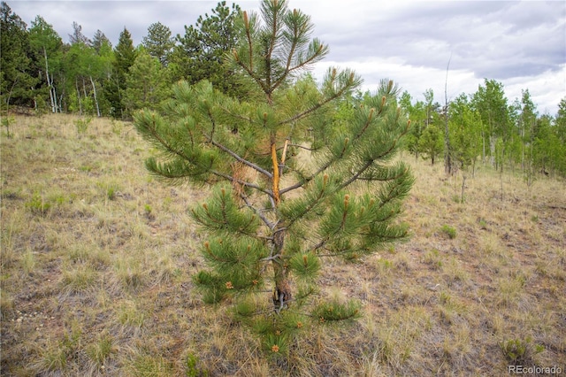 2396 Fitzsimmons Rd, Hartsel, CO 80449
