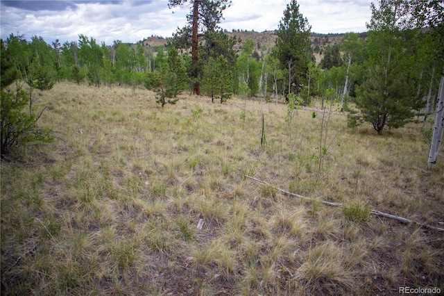 2396 Fitzsimmons Rd, Hartsel, CO 80449