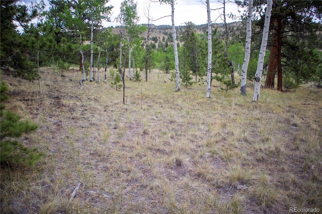 2396 Fitzsimmons Rd, Hartsel, CO 80449