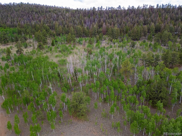 2396 Fitzsimmons Rd, Hartsel, CO 80449