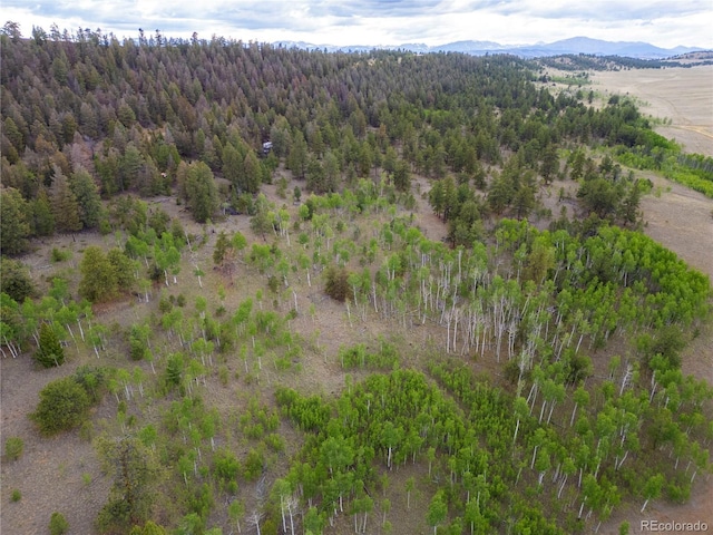 2396 Fitzsimmons Rd, Hartsel, CO 80449