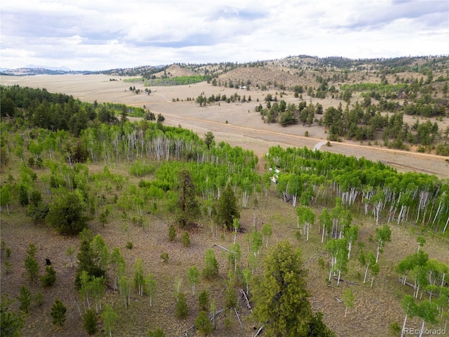 2396 Fitzsimmons Rd, Hartsel, CO 80449
