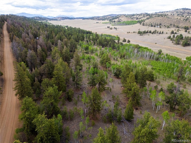 2396 Fitzsimmons Rd, Hartsel, CO 80449