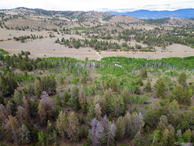 2396 Fitzsimmons Rd, Hartsel, CO 80449