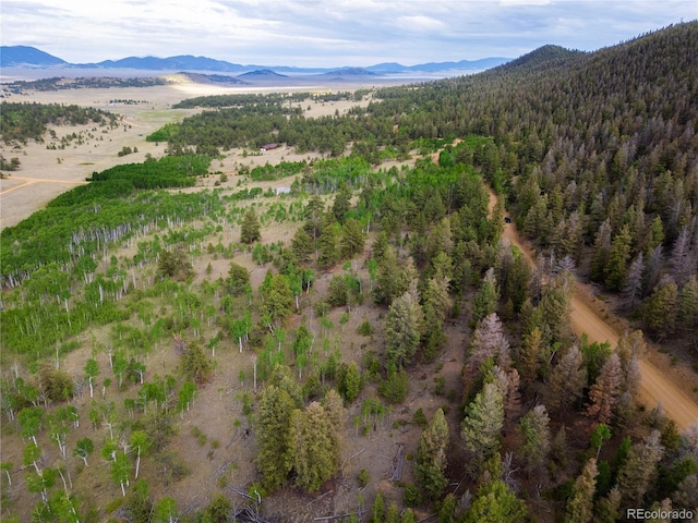 2396 Fitzsimmons Rd, Hartsel, CO 80449