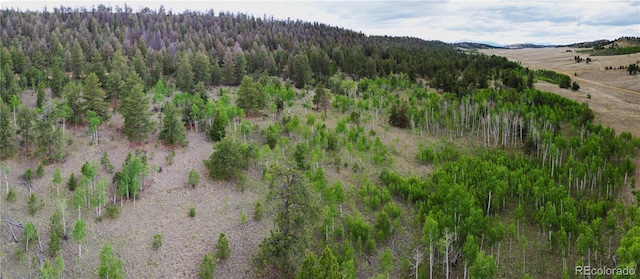 2396 Fitzsimmons Rd, Hartsel, CO 80449