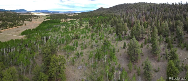 2396 Fitzsimmons Rd, Hartsel, CO 80449