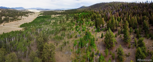 2396 Fitzsimmons Rd, Hartsel, CO 80449