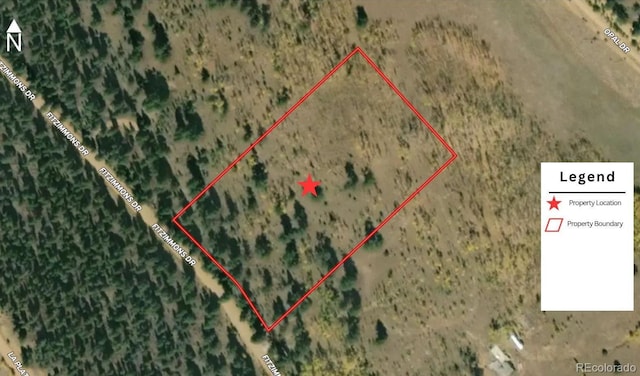 2396 Fitzsimmons Rd, Hartsel, CO 80449