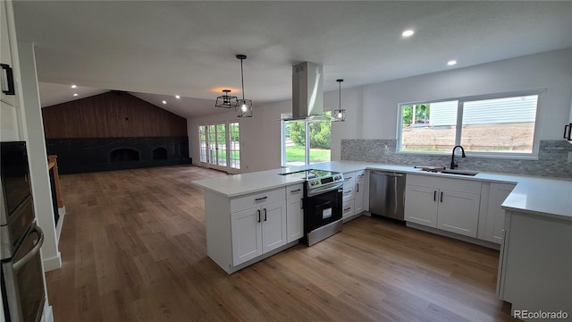 10297 W Crestone Mtn, Littleton, CO 80127 - kitchen featuring stainless steel appliances, island range hood, open floor plan, a sink, and light wood finished floors