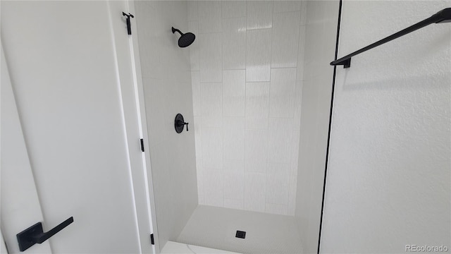 10297 W Crestone Mtn, Littleton, CO 80127 - bathroom with a tile shower