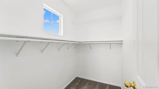 12853 Pine Vly, Peyton, CO 80831 - photo 29