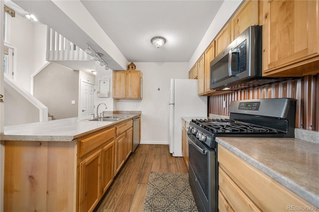1777 Main St, Georgetown, CO 80444 - kitchen with stainless steel appliances, a sink, a peninsula, dark wood-type flooring, and light countertops