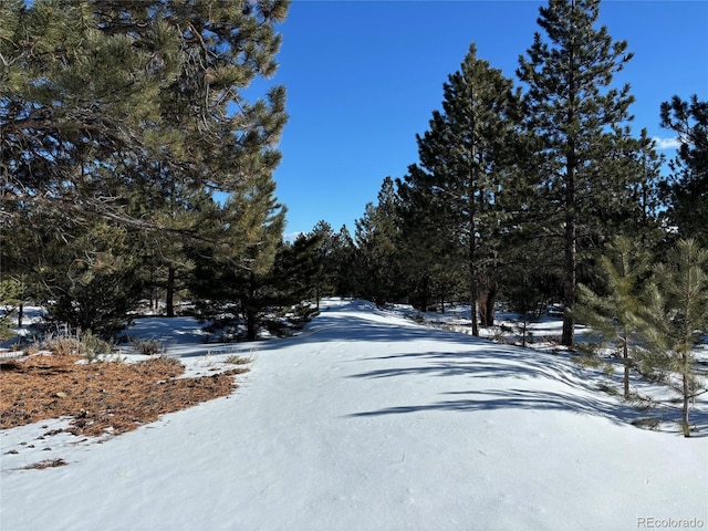 Listing photo 3 for 14750 Quartz Cir, Salida CO 81201