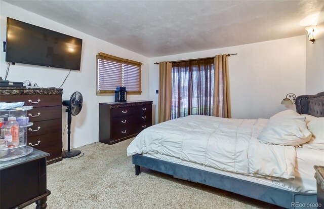 693 E Ave, Limon, CO 80828 - view of carpeted bedroom