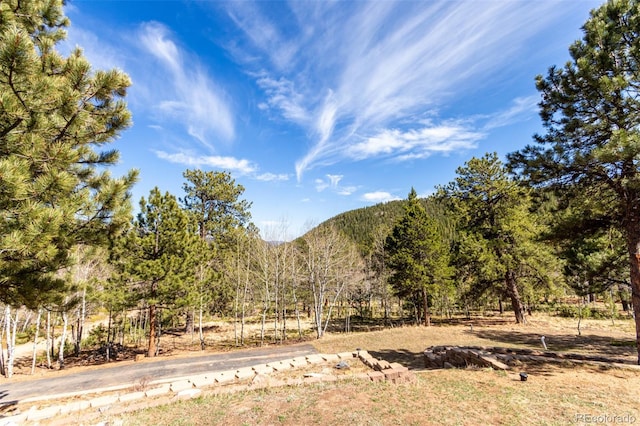 116 Schooley Rd, Bailey, CO 80421 - mountain view featuring a heavily wooded area