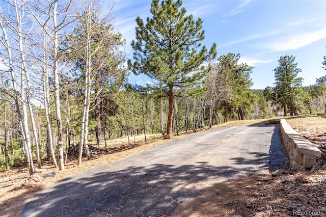 116 Schooley Rd, Bailey, CO 80421 - view of street featuring a view of trees