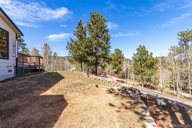 116 Schooley Rd, Bailey, CO 80421 - view of yard with a deck