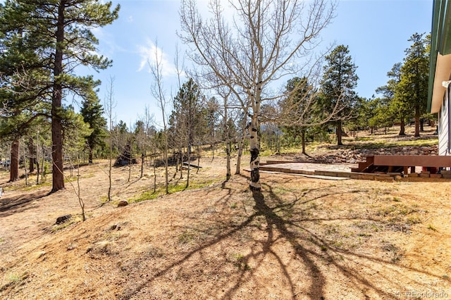 116 Schooley Rd, Bailey, CO 80421 - view of yard